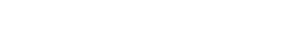 Horizontal logo white